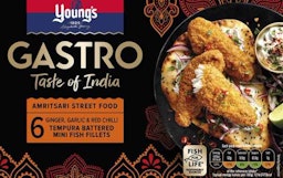 Young’s Gastro expands global range with Taste of India