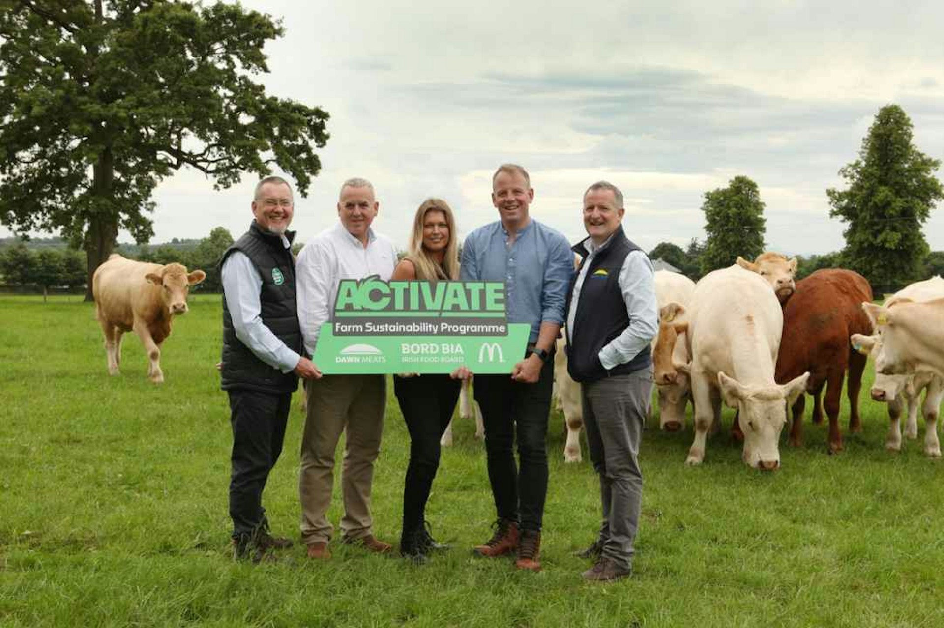 Dawn Meats and McDonald’s launch new €4.4 million incentivised sustainability programme for Irish beef farmers