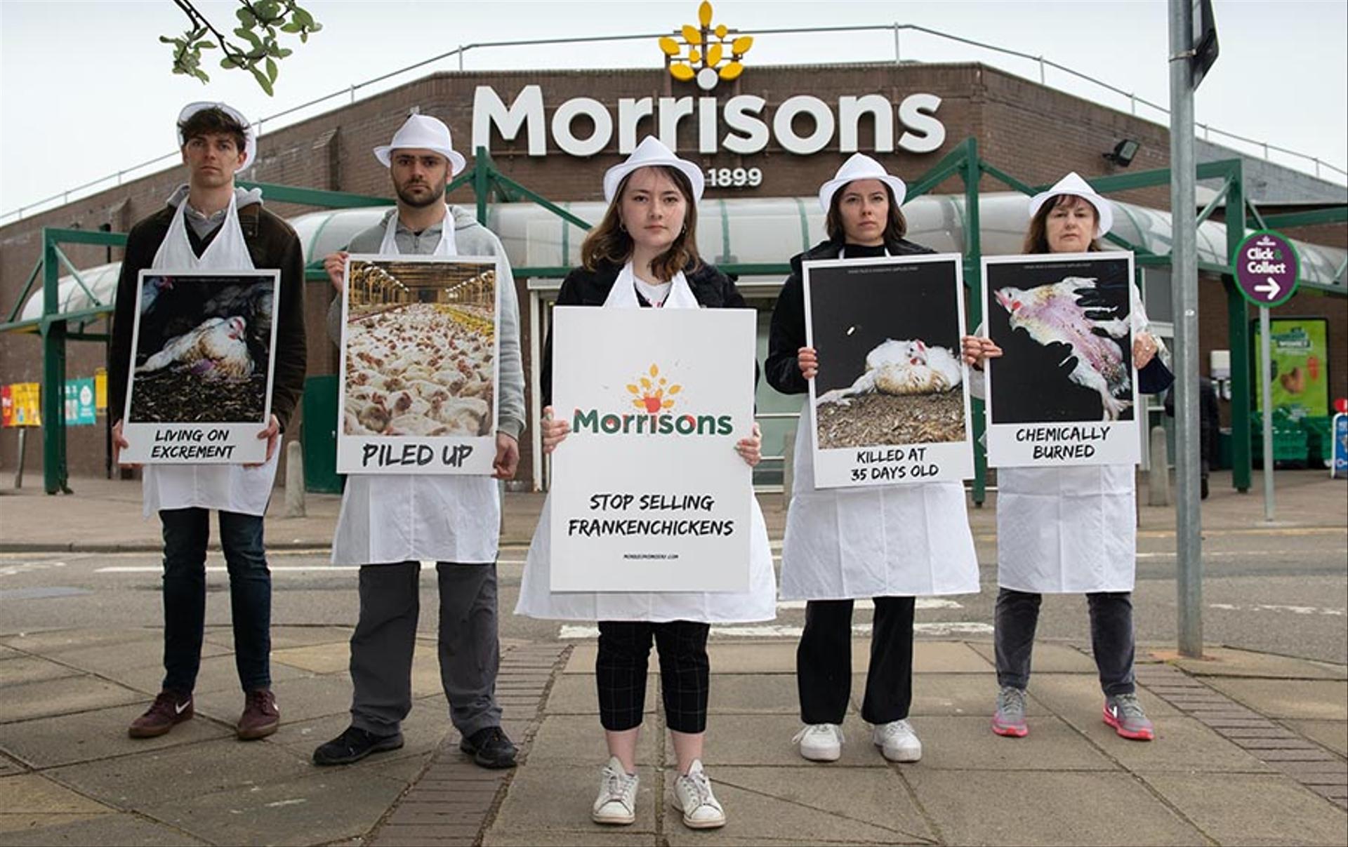 Protests erupt nationwide as Morrisons ‘Fails’ to tackle chicken cruelty