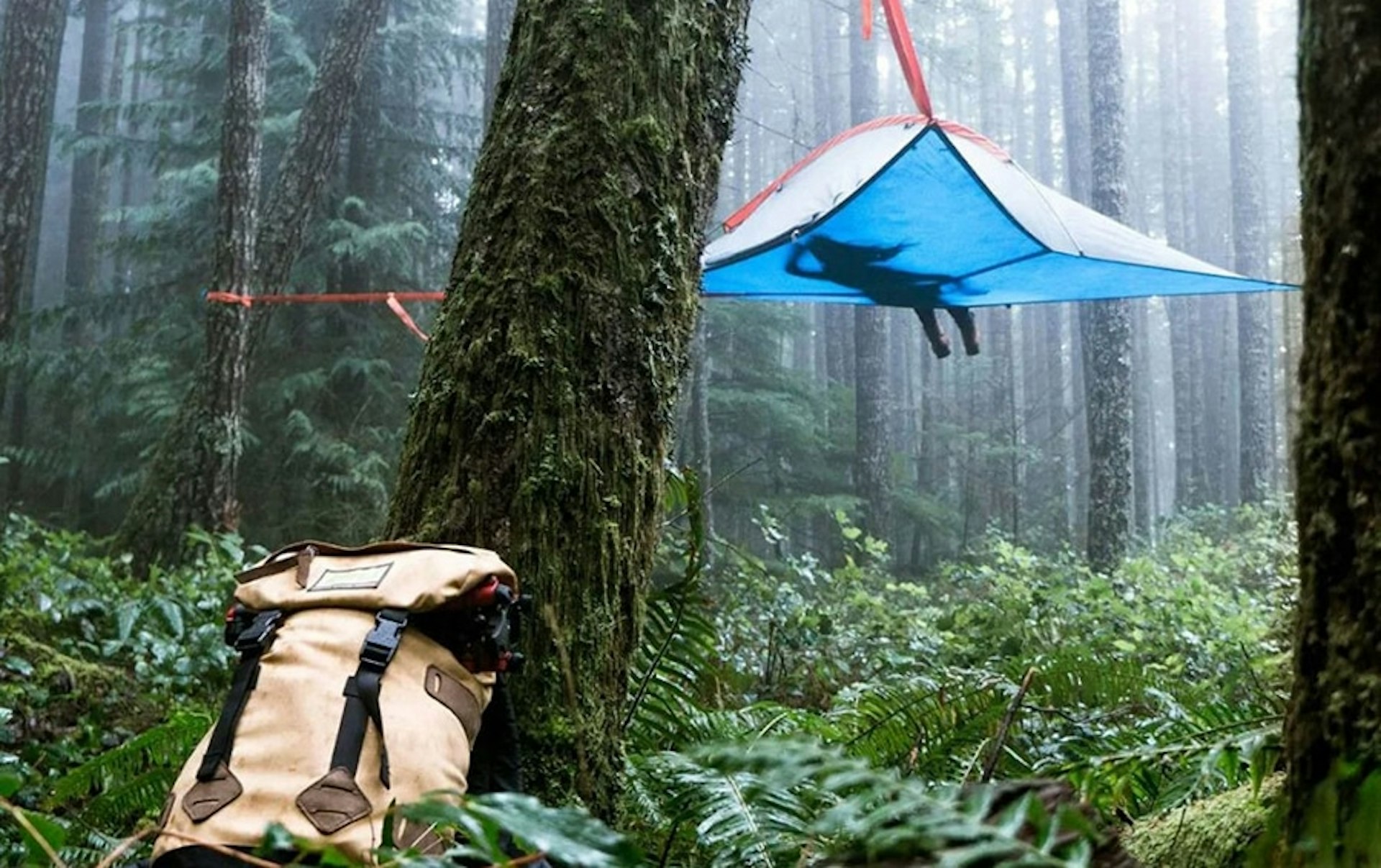 Patchworks enables Tentsile to reach new heights