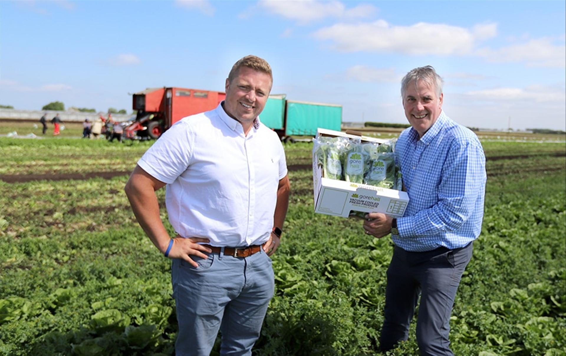 All roads lead to Romaine as new lettuce lines land on SPAR shelves