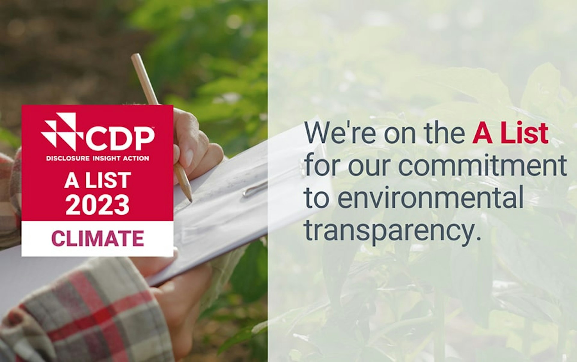 Trivium Packaging earns spot on CDP 'A' list for climate change transparency